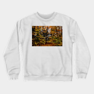 Thru the Trees Crewneck Sweatshirt